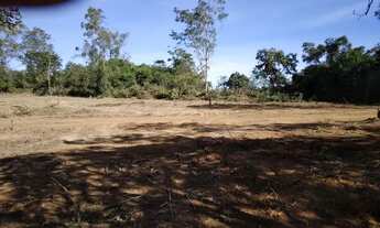 Imagem 3: Área de 2.500 metros documentada em Esmeraldas