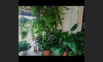 Imagem 6: Casa em São João do oriente