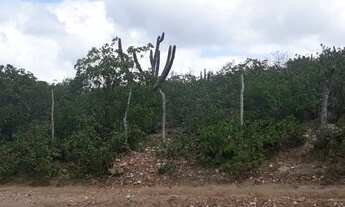 Imagem 3: Vendo 1 hectar de terras um pedaço do paraíso Solânea, Paraiba por R$ 20.000,00