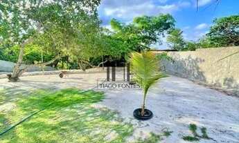 Imagem 4: Chácara em barreirinhas