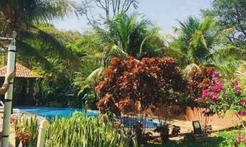 Imagem 3: Fazenda em Goiania com 7 alqueires