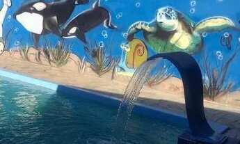 Imagem 6: Chácara para alugar