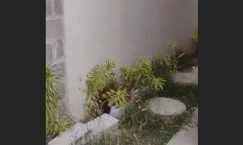 Imagem 3: Casa 2/4 condomínio