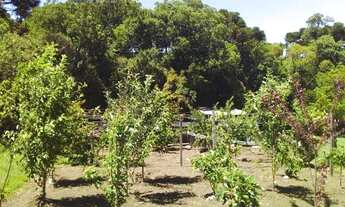 Imagem 2: Sítio no bairro Juá em São Francisco de Paula!