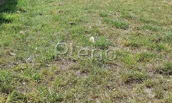 Imagem 4: Terreno - João Aranha - Paulínia