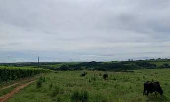 Imagem 4: Sitio de 12 alqueires com ótimo acesso