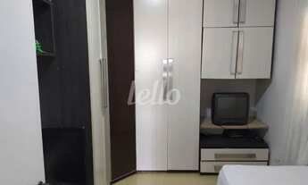 Imagem 7: São Paulo - Casa Padrão - Belém