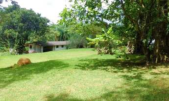 Imagem 5: Fazenda/Sítio/Chácara para venda com 3600 metros quadrados com 3 quartos