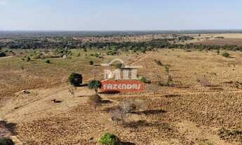 Imagem 6: Fazenda 420 ( 2.032,80 hectares ) Porangatu - GO