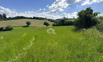 Imagem 7: Localização estratégica e alto potencial de valorização