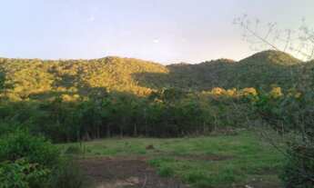 Imagem 3: Vendo sítio 50 hectares