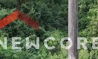 Imagem 4: Lote em rua dos Pinheiros - Alpes Verdes - Canela/RS