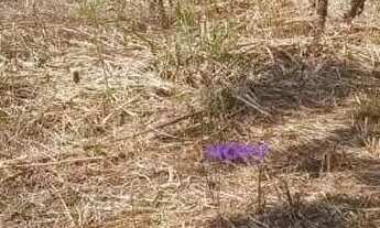 Imagem 6: Terreno à venda, 450 m² por R$ 550.000,00 - Maravista - Niterói/RJ