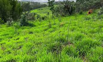 Imagem 7: TERRENO COM VISTA INCRÍVEL VENDA IMPERDÍVEL!