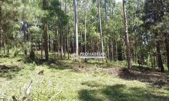 Imagem 7: Sítio à venda, 32000 m² por R$ 1.400.000,00 - Parelheiros - São Paulo/SP