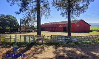 Imagem 2: Fazenda para alugar, 20.000m² - São Simão-SP