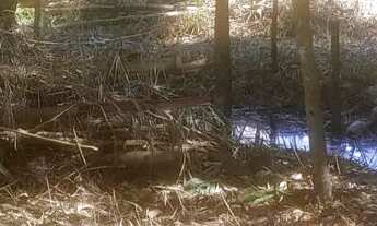 Imagem 4: Terreno com lagoa em serra azul