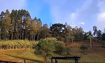 Imagem 4: Chácara Chácara com venda por R$380.000