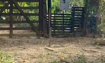 Imagem: Sitio 50.000 M².25 minutos Major Prates/Permuta