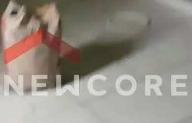 Imagem 5: Casa em Rua Braz Sátiro de Souza - Aclimação - Uberlândia/MG