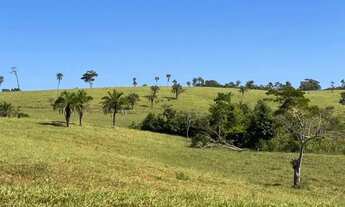 Imagem 5: Fazenda Modelo 310 Alqueires de Cultura