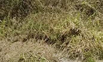 Imagem 3: Terreno com 480 metros quadrados em Morada da Colina 2 - Resende - RJ