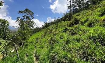 Imagem: Terreno à venda, 503 m² por R$ 70.000,00