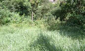 Imagem 2: Lote em Rua Roma - Granja Viana - Cotia/SP