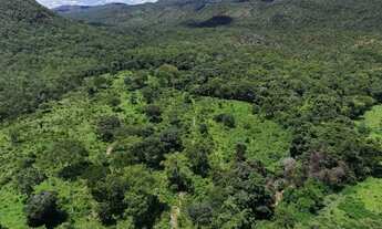 Imagem 2: FAZENDA COM RIO E MUITA ÁGUA