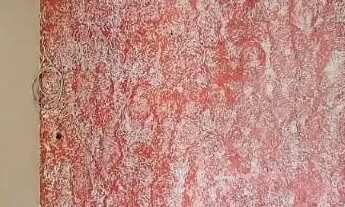 Imagem 5: Casa à Venda com 3 Dormitórios (1 Suíte) Jardim Santa Cruz Boituva-SP