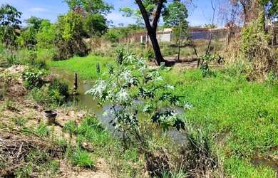 Imagem 6: Chácara à Venda em Caldas Novas GO