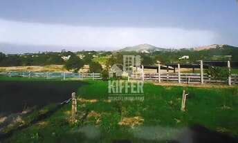 Imagem 4: Fazenda com 4 quartos à venda, 145200 m² por R$ 1.200.000 - Itatiquara - Araruama/RJ