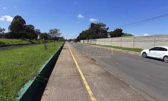 Imagem 4: Ibate - Terreno Padrao - Distrito Industrial