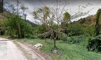 Imagem 4: Terreno plano com 6.724m² no Plante Café em Miguel Pereira/RJ