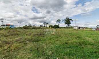 Imagem 3: ÁREA EM SÃO JOSE DOS PINHAIS 36.453,05 M²