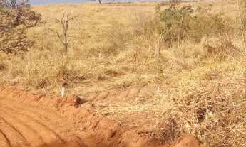 Imagem 3: Chácaras a partir de 1.000 m² região de Mateus Leme