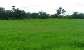 Imagem 4: Chácara 20.000m² com córregos nos fundos Serra do Cipó(Temos varias opções)