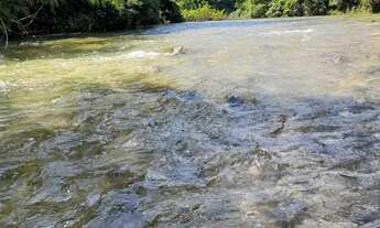 Imagem 7: Assentamento Canaã salobra