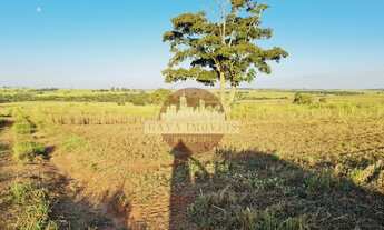 Imagem 7: Fazenda à venda na região de Jales com 220 alqueires