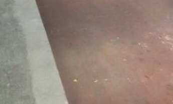 Imagem 2: Galpão para alugar, 700 m² por R$ 18.450,00/mês - Cambuci - São Paulo/SP