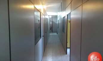 Imagem 6: São Paulo - Prédio Inteiro - Tatuapé