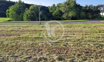 Imagem 5: Terreno a venda, Jardins Veneza, FGR, leve aclive com linda vista para mata atlântica, Int