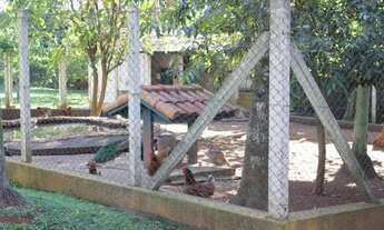 Imagem 6: Chácara graciosa com Mata Atlântica