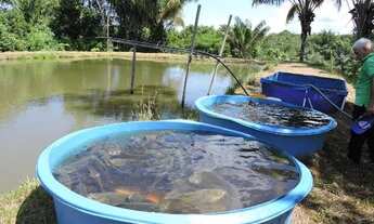 Imagem 2: Venda de uma Chácara titulada, CAR e licença para criar Peixes