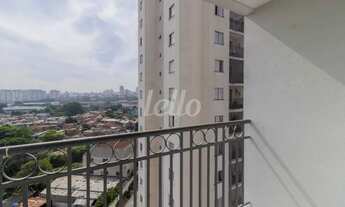 Imagem 5: São Paulo - Apartamento Padrão - Tatuapé