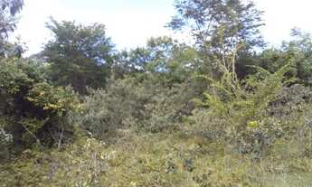 Imagem: Vendo fazenda excelente pra reserva legal