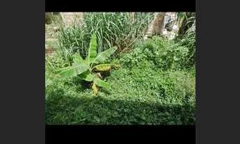 Imagem 5: Vende-se um terreno