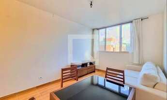 Imagem 3: Apartamento para Aluguel - Vila Higienopolis, 1 Quarto, 48 m2