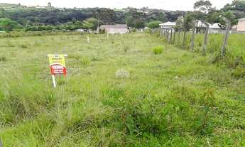 Imagem 2: Lote/Terreno para venda em Riozinho - Irati - PR