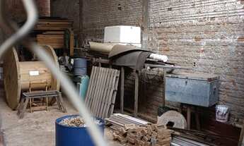 Imagem 3: Galpão / Depósito / Armazém em Fazenda Rio Preto - São José do Rio Preto